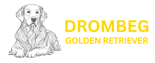 DROMBEG GOLDEN RETRIEVER